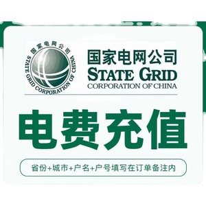 电费 国家电网电费 代缴交费 500浙江江苏福建山东北京 25省市
