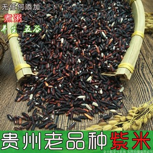 黑米紫米贵州特产老品种新米紫糯梗米黑糯米粽子米农家五谷粗粮米