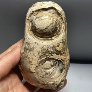 非洲 埃及地表 古磐石乍得天然原石戈壁石观赏石景观文房奇石摆件