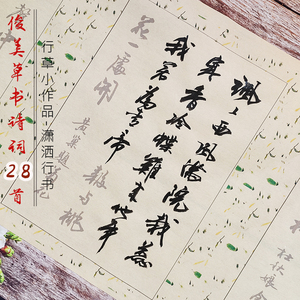俊美行草描红诗词28首毛笔字帖临摹宣纸长卷行书练字创作书法