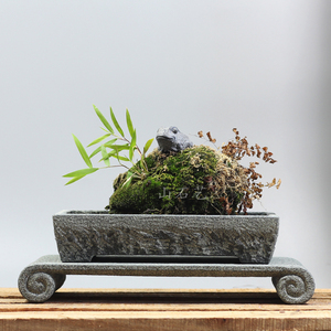 长方形青石花盆吸水石专用盆底座菖蒲石头盆景盆复古天然原石盆栽