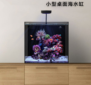 蓝甸海水缸 nano背滤系列 40背滤海缸