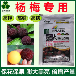 杨梅树专用肥料叶面肥坐果膨大保花保果果树增甜黑亮