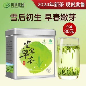 宜宾早茶绿茶茶叶特级2024年新茶自己喝四川明前雀舌天府龙芽50g