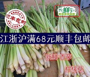 香茅草 新鲜 食用香料香毛 柠檬草 500g 香薰驱蚊 江浙沪五斤包邮