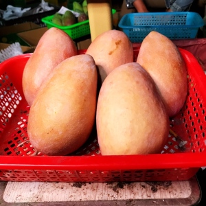 越南紫红芒红玉芒玉文芒纯甜无丝新鲜芒果净果8斤包邮