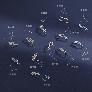 爱洛奇饰品旗舰店天猫爱洛奇s925银戒指女韩版时尚镶钻十二星座指环
