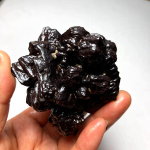 天然埃及黑金刚石 预言石 八角花状能量石褐铁矿原石