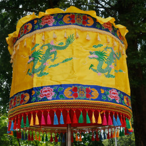 杨国亮亮淘宝舞蹈纸伞中国风古典青花瓷水墨荷花喜上眉梢梅花戏剧