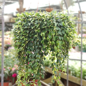 【柳叶玉吊】柳叶玉吊品牌,价格 - 阿里巴巴