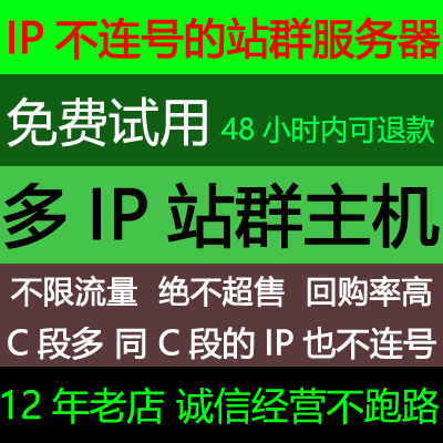 站群多ip服务器多c段ip不连号独立ip云主机游戏外贸ip免费试用