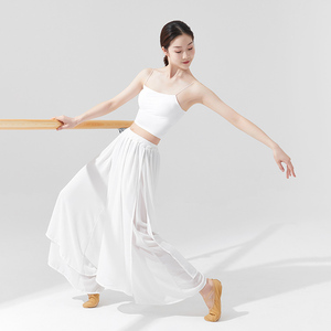 白色雪纺古典舞表演练功服女中国舞蹈服身韵纱衣古风宽松飘逸仙气