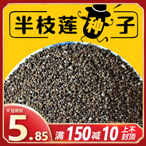 新采中草药材籽半枝莲种子并头草韩信草赶山鞭牙刷草紫连草包邮