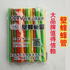 壁蜂果树授粉专用壁蜂子蜂箱塑料蜂管蜂巢大棚育种蜂窝授粉器包邮