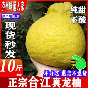 礼盒四川泸州特产合江真龙柚新鲜水果纯甜10斤非沙田柚子
