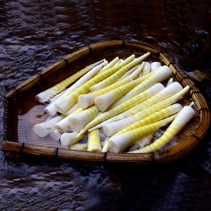 小笋子新鲜四川