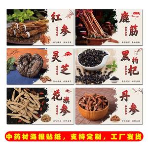 参茸海报中药宣传画滋补品挂图中药材功效介绍贴纸药店墙装饰用品