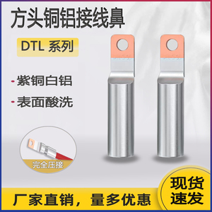 方头铜铝线鼻过渡接线端子新款空开塑壳断路器铜线鼻子DTL25-300