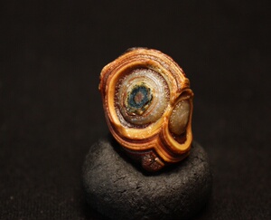 外蒙古地表高浮雕天眼石眼睛石天珠《外星人》