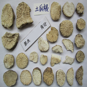 土瓜根 山苦瓜 毛冬瓜 吊瓜 土瓜 苦瓜莲 土瓜根粉 王瓜根粉