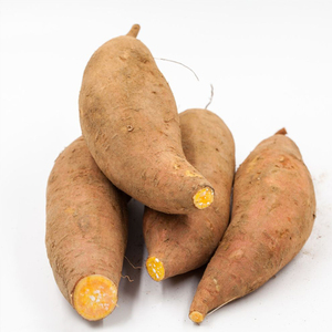 贵州遵义土特产黄芯地萝卜脆口番薯即食地瓜 红苕 5斤 包邮