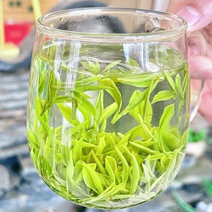 2022新茶扬州特产绿茶绿阳春茶叶明前特级a6绿杨春250g茶农直销