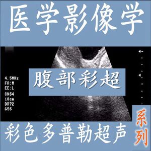 医学影像超声腹部彩超诊断教学视频b超胃肠阑尾肝脏肾脏泌尿教程