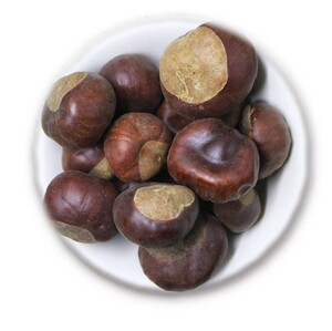 中药材 娑罗子 500克索罗子 索萝子 棱罗子婆罗子 桫椤果 梭罗果