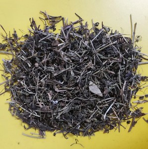 800人付款淘宝冷背中药材梓木草500克 别名 琉璃草 地仙桃安国中药