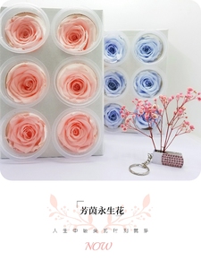 永生花花材批售厂家发货永生玫瑰包邮diy5-6cm6朵保鲜花特价一盒