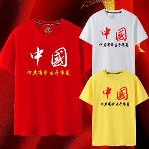 何其有幸生于华夏爱国短袖t恤印花爱国青年中国字样汉子衣服国潮