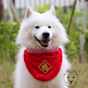 手工定制宠物狗新年围巾 萨摩喜庆三角巾 金毛春节口水巾 中国风