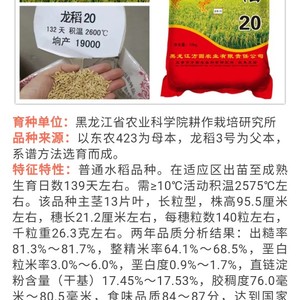 龙稻208水稻种子简介图片