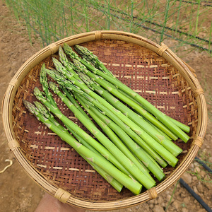 芦笋新鲜3斤大芦笋蔬菜包邮嫩青笋新鲜农家自产去白根现挖