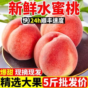 【爆甜】新鲜水蜜桃桃子毛桃脆甜桃当季孕妇水果2/5/9斤整箱包邮