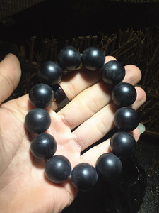 百年海底铁树 乌柳海柳海藤海铁树手链手串 纯天然正品