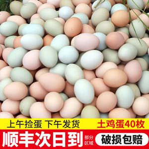 鸡蛋新鲜40枚正宗农家散养农村柴草鸡蛋30枚乌绿壳土鸡蛋整箱60枚