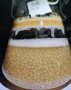 江门雅康木耳 香菇 海鲜菇 白玉菇 液体菌种培养基 发酵罐培养料