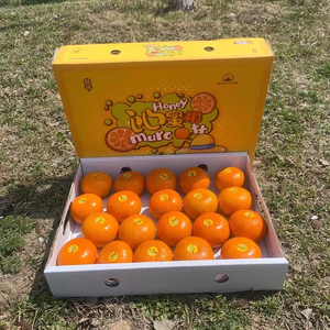 广西茂谷柑礼盒装净重5斤以上沃柑新鲜水果沁蜜柑