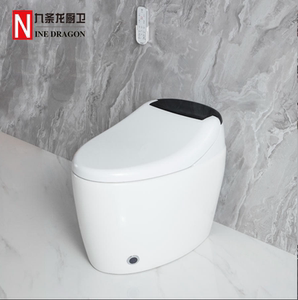 九条龙 2207b 智能马桶