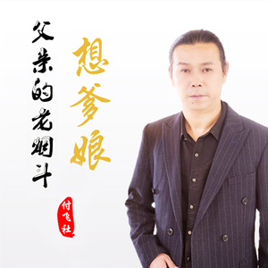 车载cd付飞社cd父亲的老烟斗感恩歌曲无损音乐车用cd光盘通用碟片