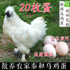 江西泰和乌鸡蛋农家散养土鸡蛋白黑凤乌骨鸡蛋新鲜草鸡蛋20枚包邮