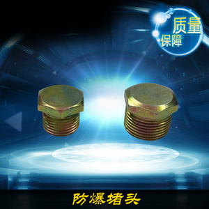 防爆堵头