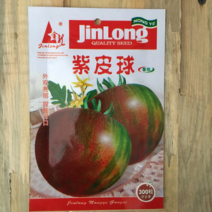 绿紫皮球番茄种子紫黄绿小番茄西红柿春夏四季阳台洋柿子蔬菜种孑