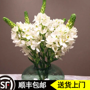 天鹅绒鲜花圣心百合雀梅云南直发小清新花期超长按宝贝主图视频养