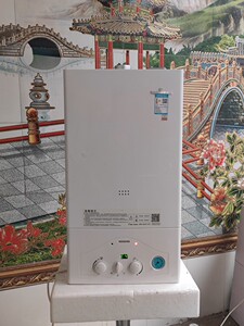 小松鼠壁挂炉家用天然气采暖炉节能环保两用取暖洗浴上市大品牌