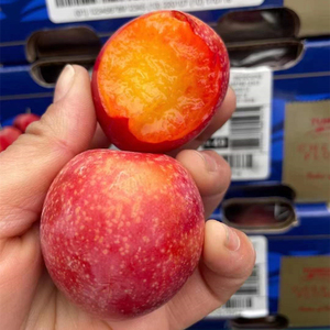 美国大李子-淘宝拼多多热销美国大李子货源拿货 - 阿里巴巴货源