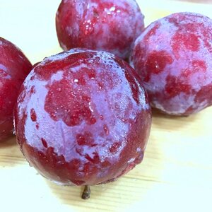 歌慕 广东芙蓉李新鲜李子共发5斤当季孕妇水果包邮坏果包赔