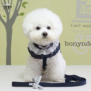 『memory pet』韩国代购bonyndog宠物学院风蝴蝶结蕾丝牵引绳套装
