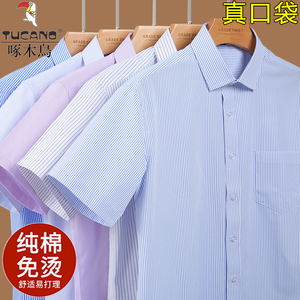啄木鸟中年男士短袖衬衫纯棉夏季爸爸装条纹半袖衬衣上班白衬衫男